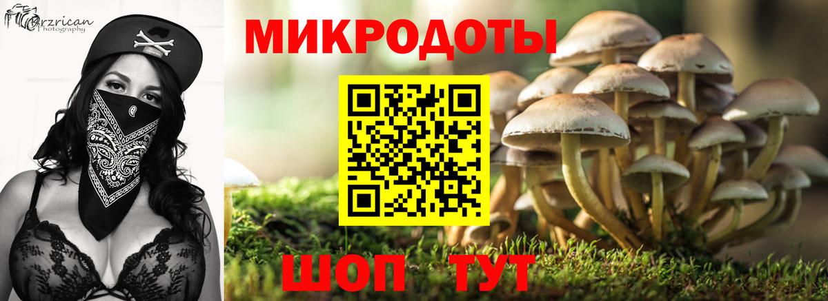 Псилоцибиновые грибы мухоморы Отрадный