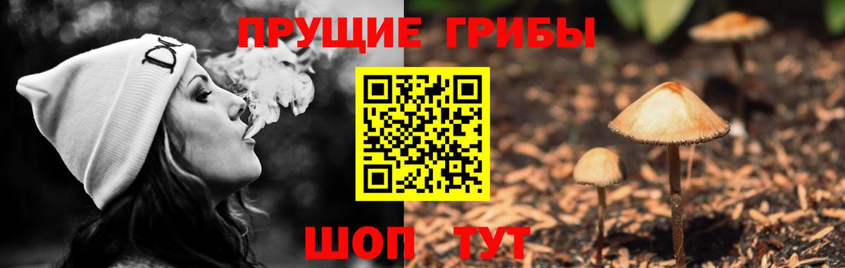 Галлюциногенные грибы ЛСД  Вход с VPN  Псилоцибиновые грибы Psilocybine cubensis  Отрадный 
