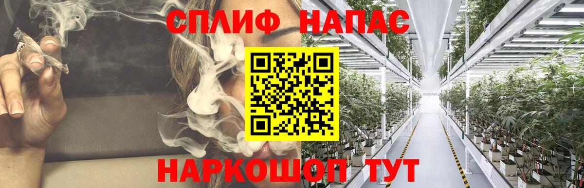 Канабис White Widow Отрадный